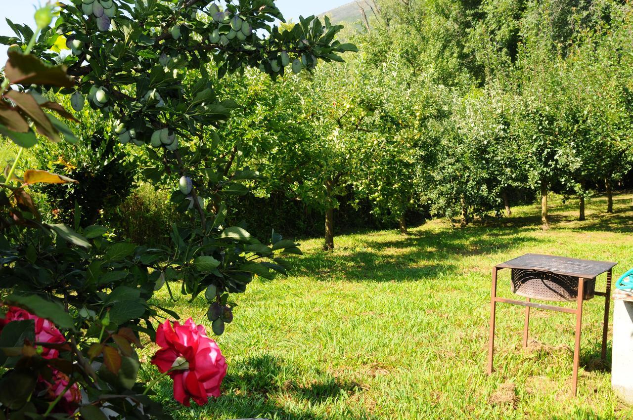 Guest House Markovic Budva Eksteriør bilde